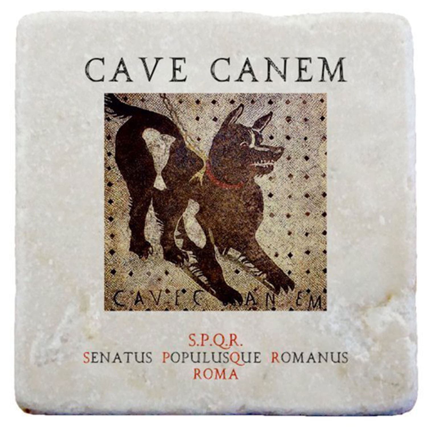 Marmo Cave Canem (cod.05H)
