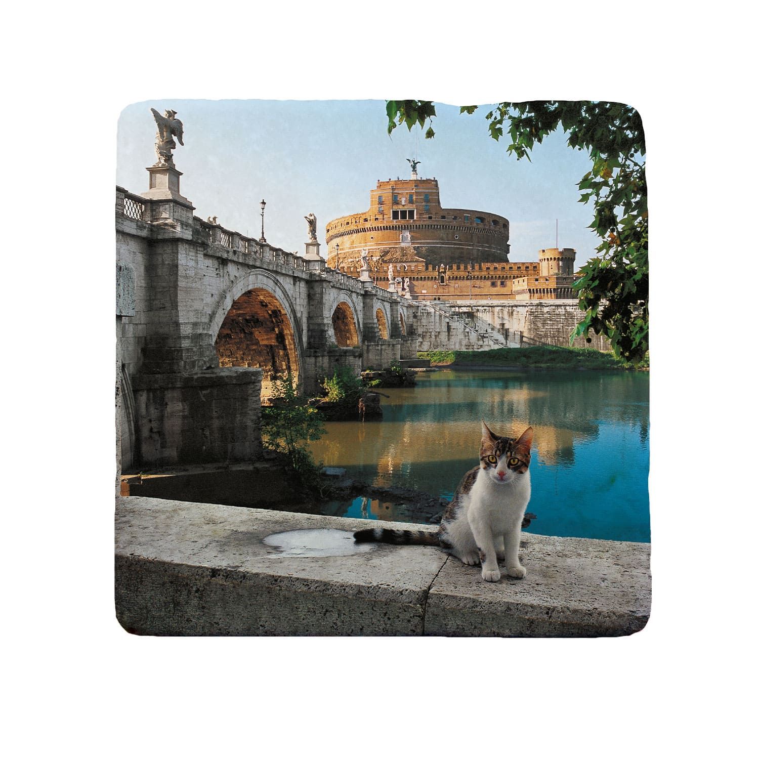 Marmo Gasponi Gatti di Roma – Castel Sant’Angelo (cod.08GA)