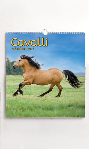 Calendario grande Cavalli