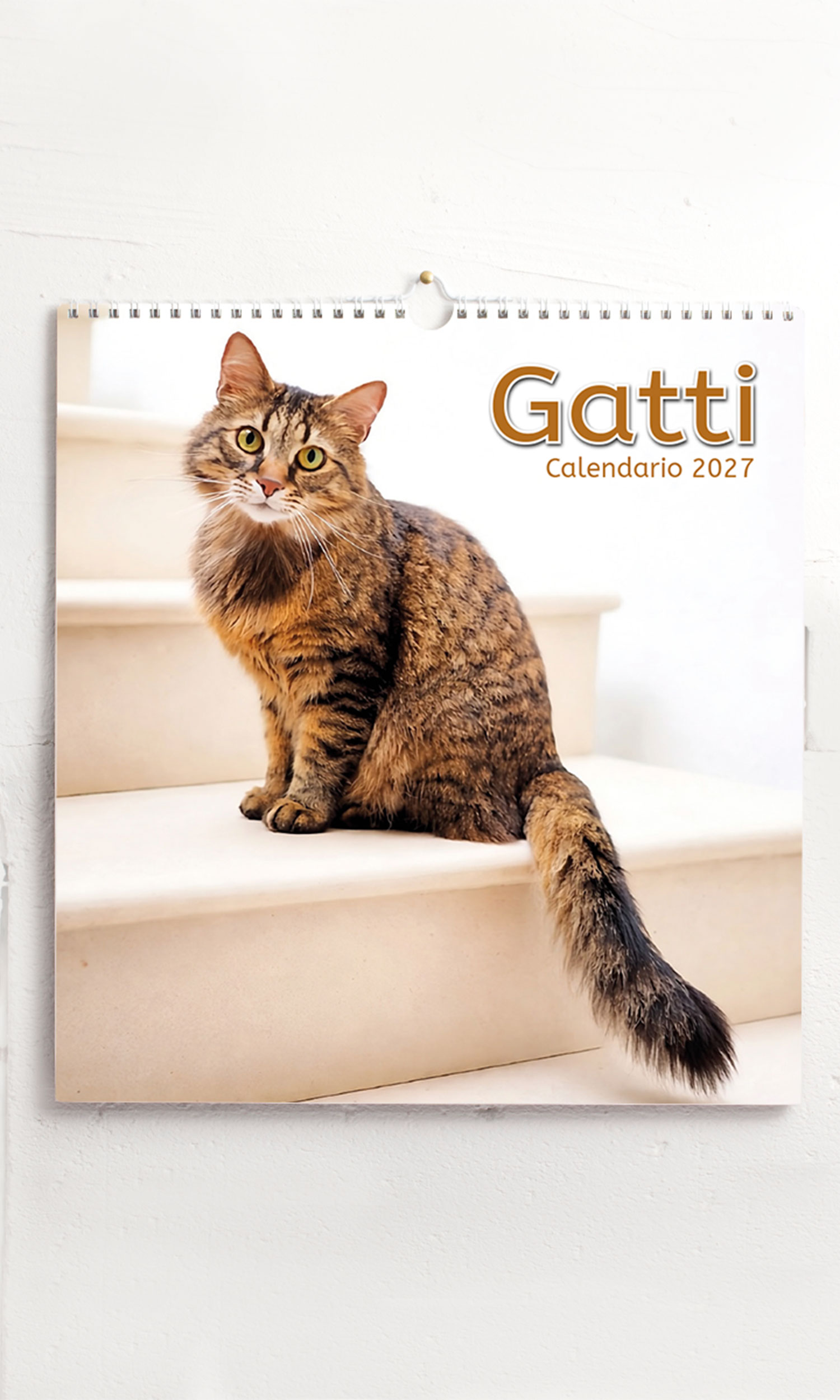 Calendario grande Gatti
