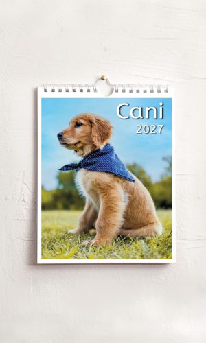 Calendario medio Cani