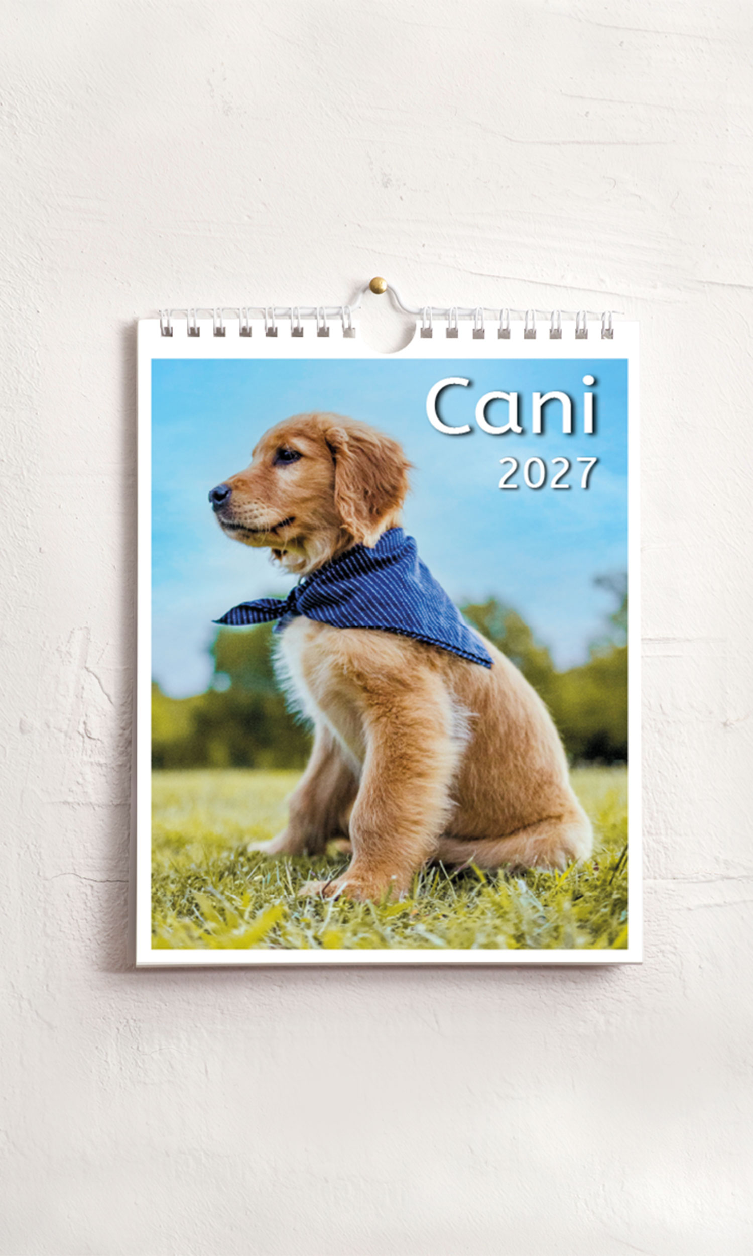 Calendario medio Cani