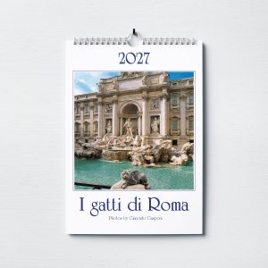 Calendario medio Gasponi - Gatti di Roma (Fontana di trevi)